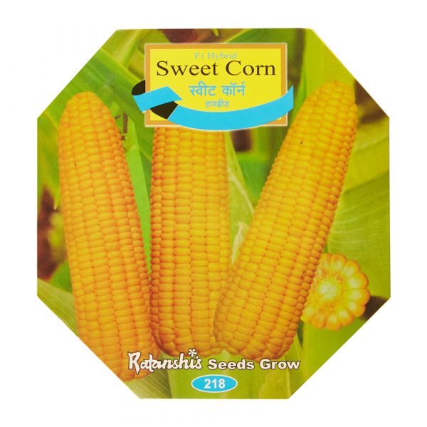 F1 Hybrid Sweet Corn