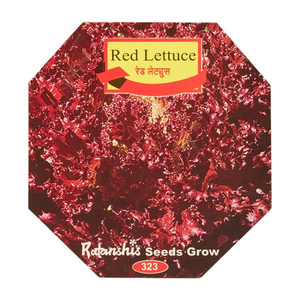 Red Lettuce