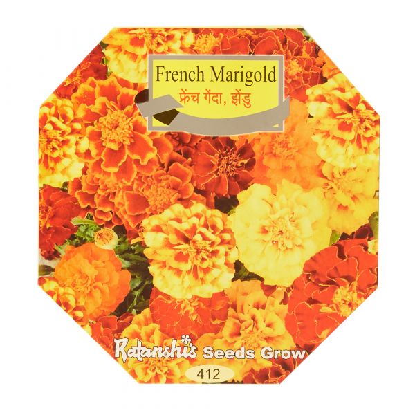 French Marigold