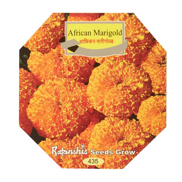 African Marigold