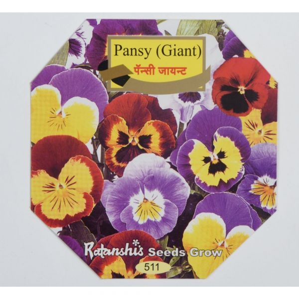 Pansy (Giant)