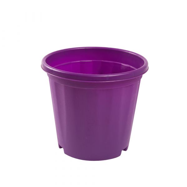 Coloured Grower Pot | 20cm (8
