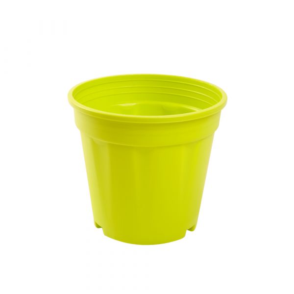 Coloured Grower Pot | 15cm (6