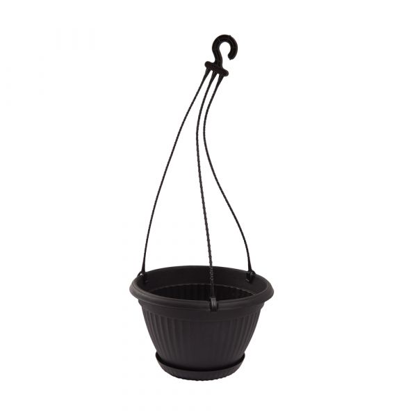 Bello Hanging Basket | 20cm (8