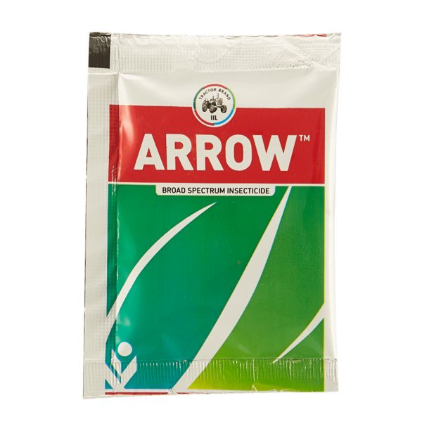 Arrow | 100g