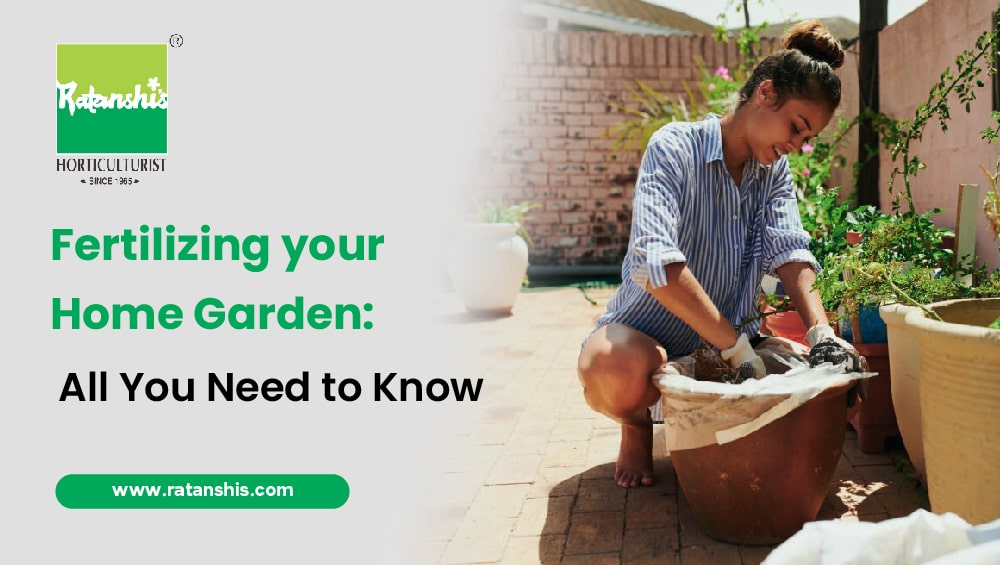 Fertilizing your Home Garden: All You Need to Know