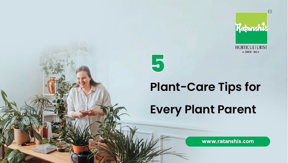 5 Plant Care Tips for Every Plant Parent