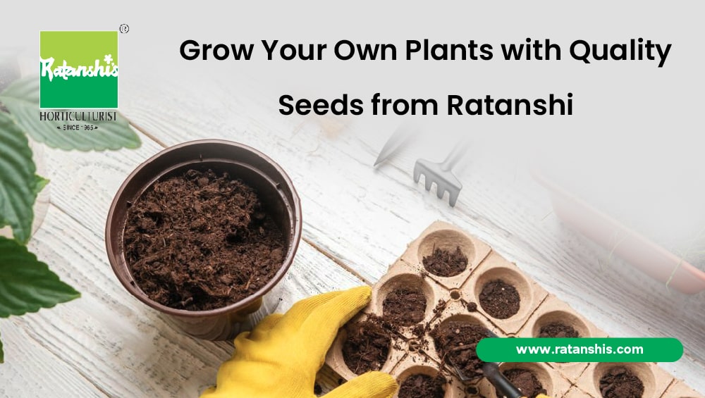 Grow Your Own Plants with Quality Seeds from Ratanshi Agro-Hortitech